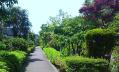 DSC_0403.jpg