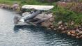 DSC_0416.jpg