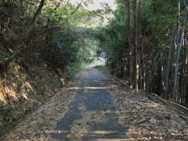 DPP_0002_201312181958050e4.jpg