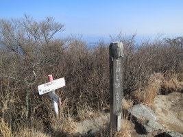 DPP_0008_20131218201102889.jpg