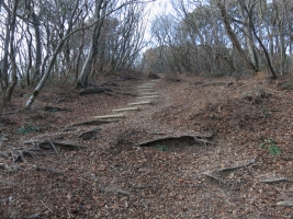 DPP_0010.jpg