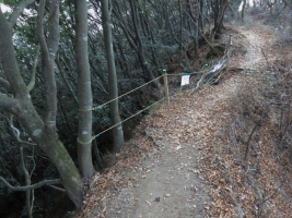 DPP_0011.jpg