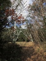 DPP_0014.jpg