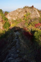 DSC_2336.jpg