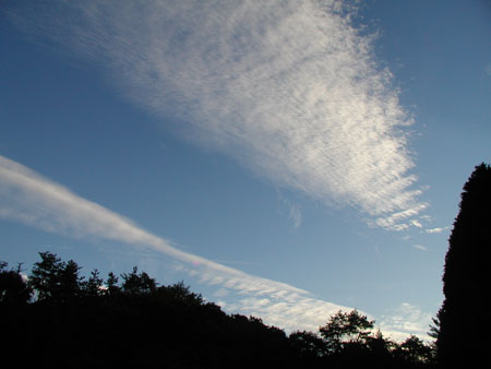 2011100106.jpg