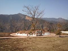 奥多摩霊園 40