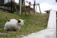 s-IMG_1887.jpg