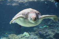 s-IMG_1901.jpg
