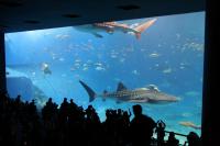 s-IMG_1975.jpg