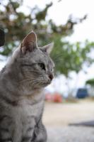s-IMG_2367.jpg