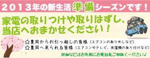 shinseikatu2013.jpg