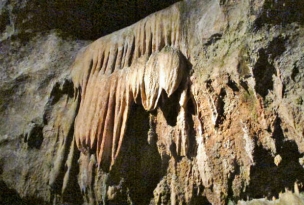 6IMG_6264.jpg