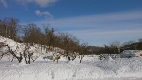 逕サ蜒柔convert_20120130101433