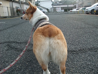 オチリ姿♪