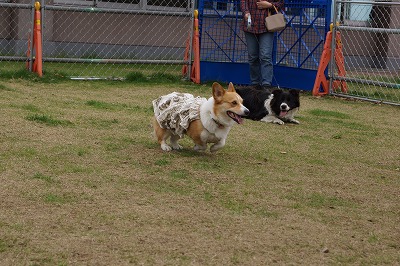 DSC01594.jpg