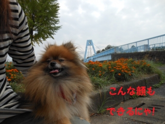 水元公園その1 (7)