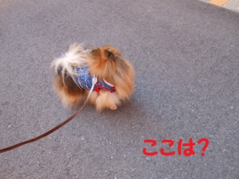 なな病院へ 010