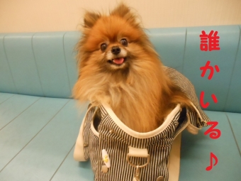 なな病院へ 018