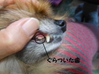 なな病院へ 023