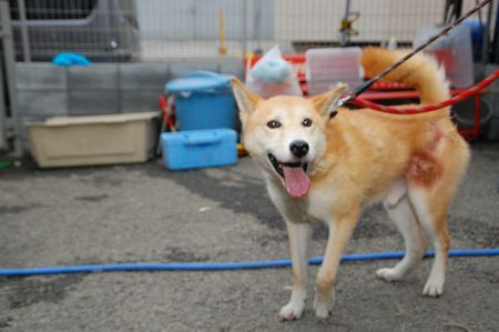 20110820muku.jpg