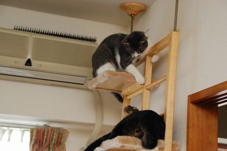 20110831kotetsumiikun3.jpg