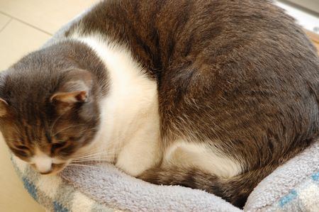 20120218miikun2.jpg