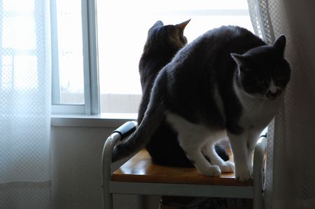 20120224miikun2.jpg