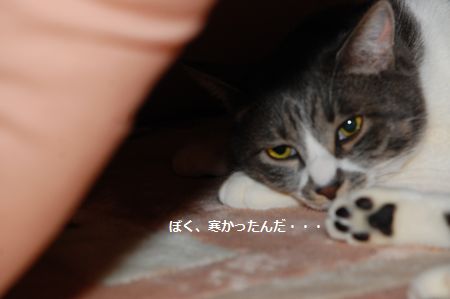 20120226miikun.jpg