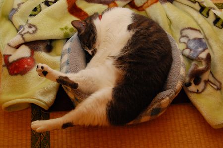20120402miikun2.jpg