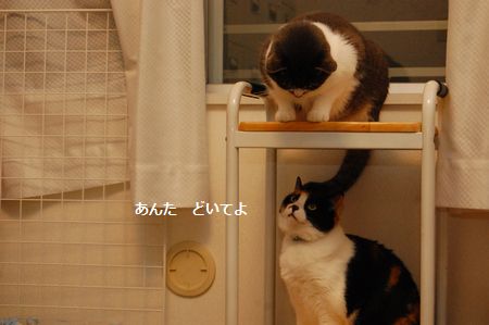 20120503miksnmiikun.jpg