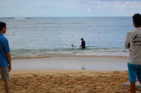 20130402hawaii3.jpg