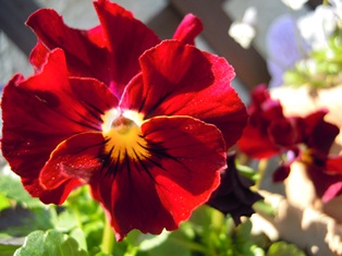 DSCN6760.jpg