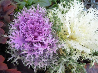 DSCN6766.jpg