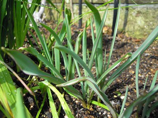 DSCN7678.jpg