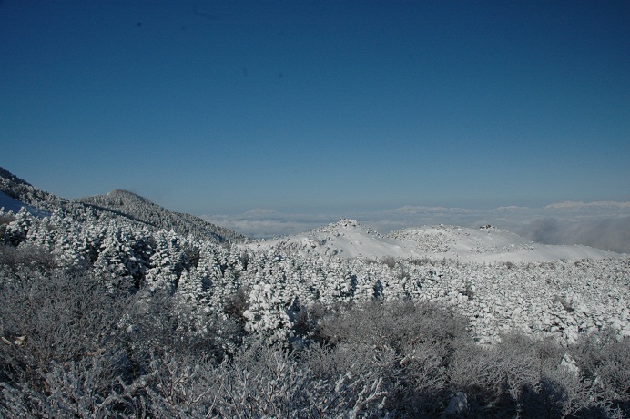 DSC_0215s_20120312210430.jpg