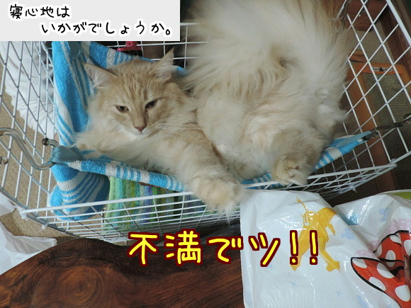 sato2046.jpg