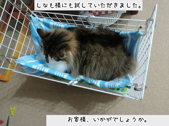 sato2047.jpg