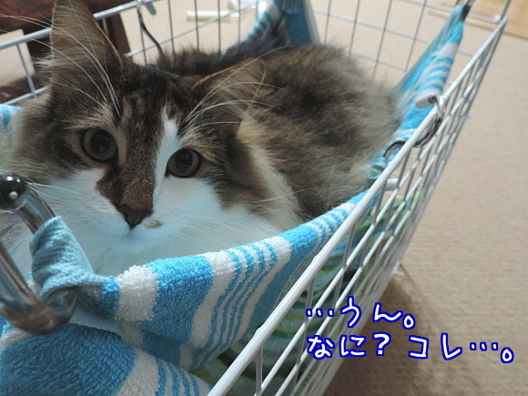 sato2048.jpg