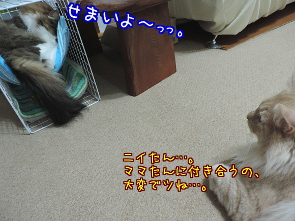 sato2050.jpg