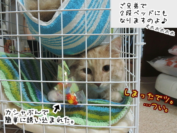sato2051.jpg