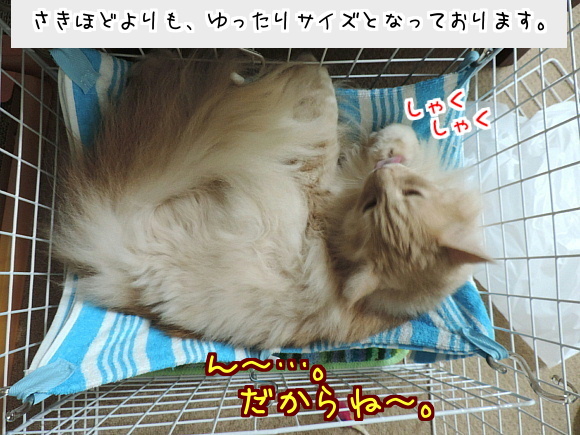sato2053.jpg