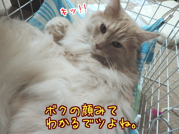 sato2054.jpg