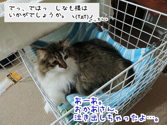 sato2055.jpg