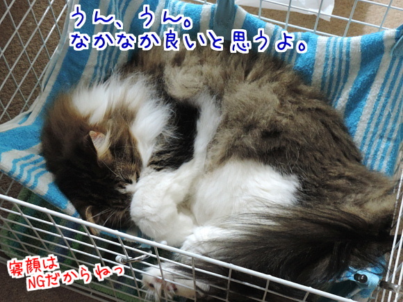 sato2057.jpg
