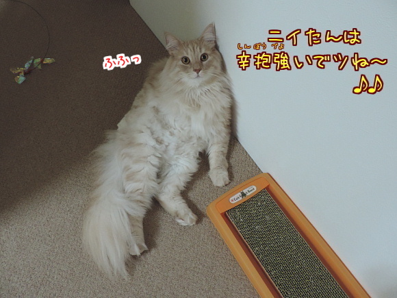 sato2058.jpg