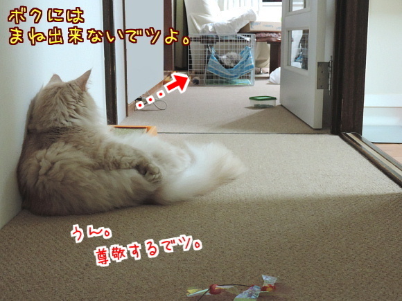sato2059.jpg