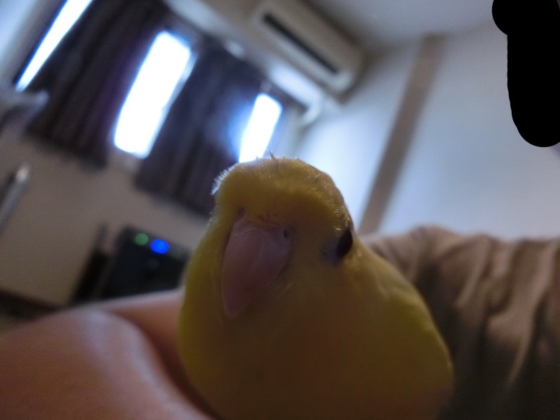 20141041.jpg