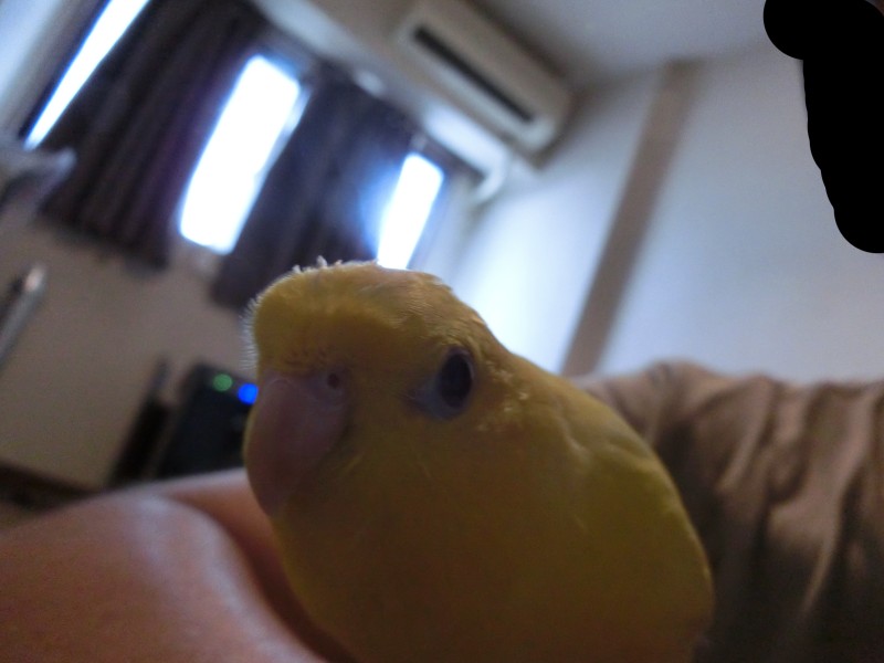 20141042.jpg