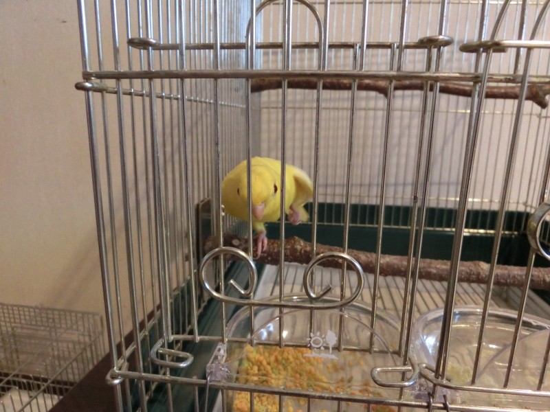 20141051.jpg