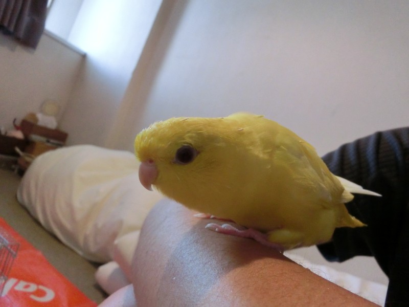 201410610.jpg